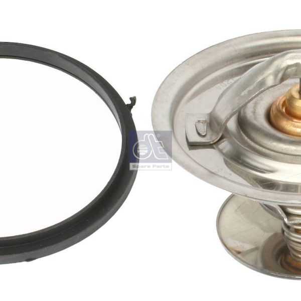 Thermostat Kit