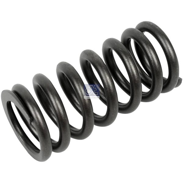 Valve Spring