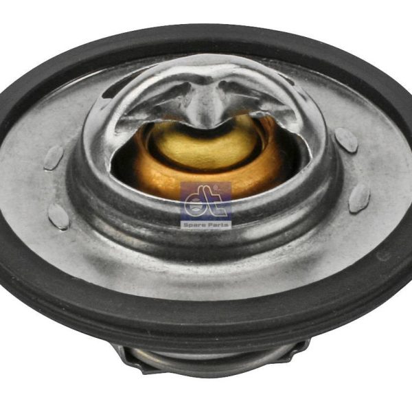 Thermostat Kit