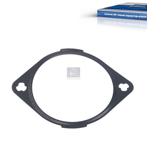 Gaskets, Timing Case