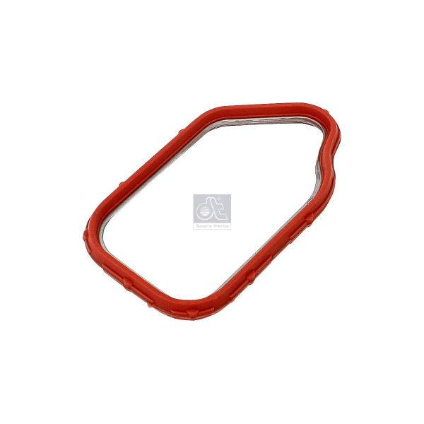 Gaskets, Timing Case