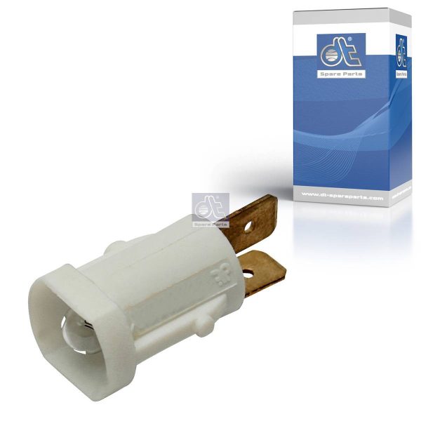 Socket Bulbs