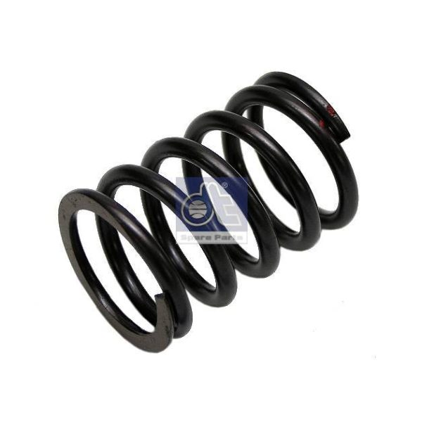 Valve Spring