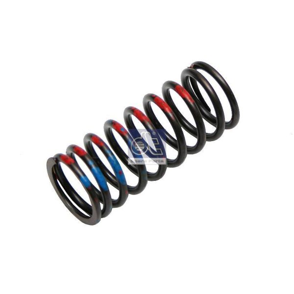 Valve Spring