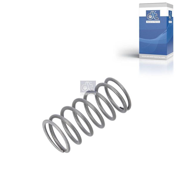 Valve Spring