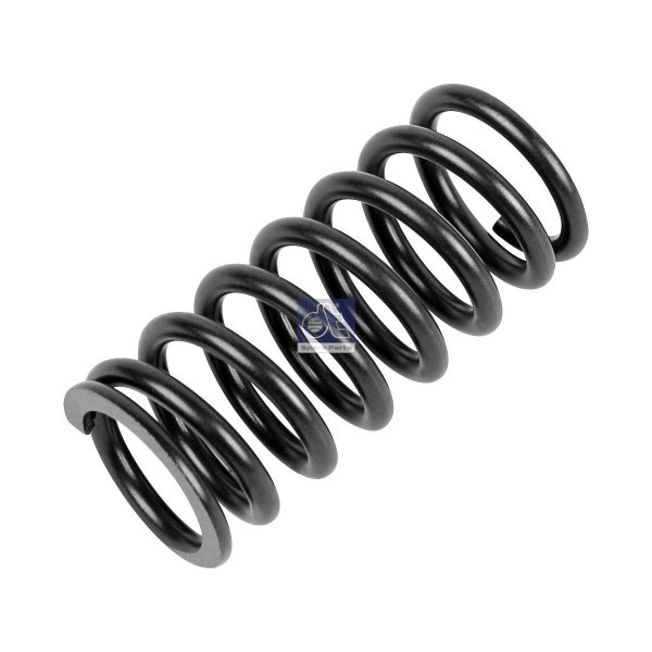 Valve Spring