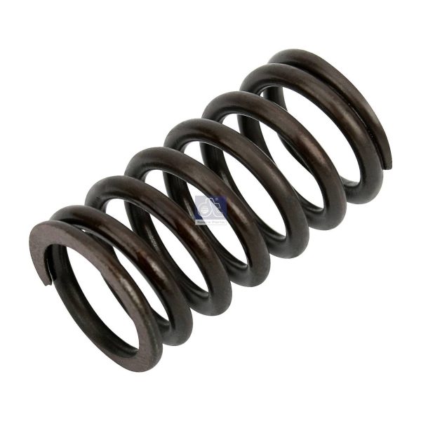 Valve Spring