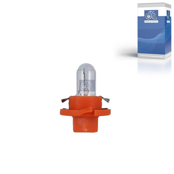 Socket Bulbs